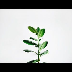 Meet your Posher, Brooklyn